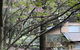 Lochiel Luxury Accommodation - thumb 5
