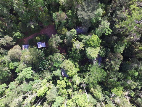 Crater Lakes Rainforest Cottages - Accommodation China 0