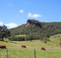 Rosevale House - Accommodation Guide