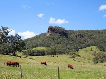 Rosevale House - Accommodation Guide 0