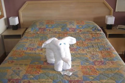 Koala Tree Motel - Accommodation Asia 5