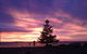 Beachhouse Mollymook - thumb 3