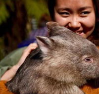 Fauna Australia Wildlife Retreat - Accommodation Asia