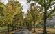 Clarendon Forest Retreat - thumb 1