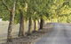Clarendon Forest Retreat - thumb 3