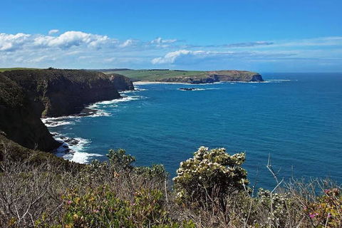 Woodland By The Bay & Puddleduck Cottage - Accommodation Guide 5