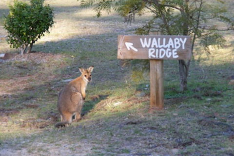 Wallaby Ridge Retreat - Accommodation Asia 0