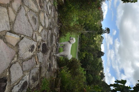 Coverdales B & B At Eumundi - Accommodation Guide 0