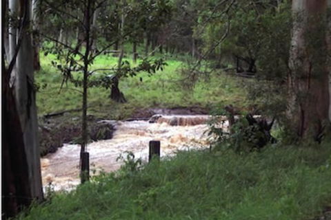 Spring Creek Mountain Cafe & Cottages - Accommodation Asia 5