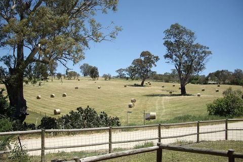 1860 Wine Country Cottages - Accommodation Asia 4