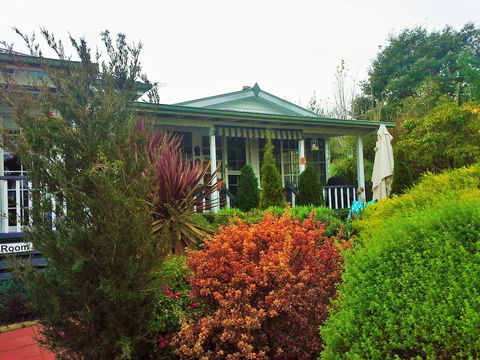 Hillside Bed & Breakfast - Accommodation Asia 2