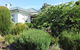 Hillside Bed & Breakfast - thumb 4