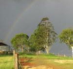 CBR Equine Cottage - Accommodation Guide