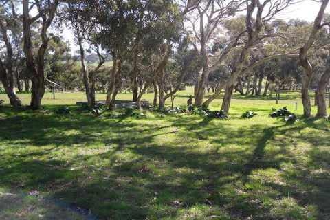 Wenton Farm Holiday Cottages - Accommodation Guide 3