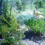 Ogilvie WA Accommodation Asia