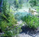 Old Miners Cottages Bed  Breakfast - Accommodation Asia