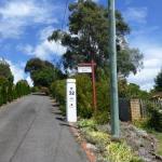 Protea Hill - Accommodation China 0