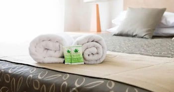 Capella Coach Inn - Accommodation Asia 2