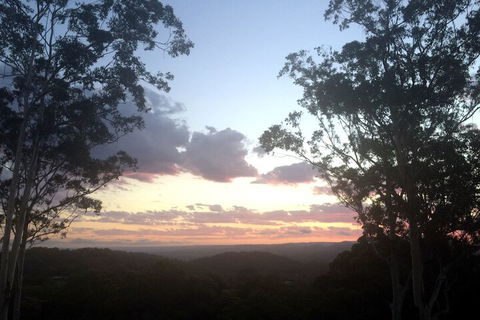 Phoenix Eumundi Bed & Breakfast - Accommodation China 1