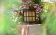 Broomelea Bed & Breakfast - thumb 4