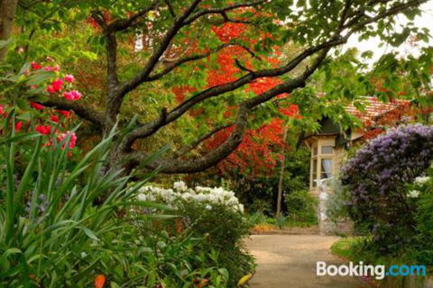 Broomelea Bed & Breakfast - Accommodation Asia 2