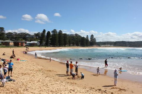 Avoca Beach Cape Cottage - Accommodation Guide 6