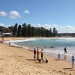 Avoca Beach Cape Cottage - Accommodation Guide 1