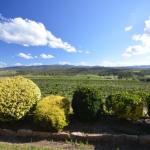 Sancerre Estate - Accommodation Asia 0