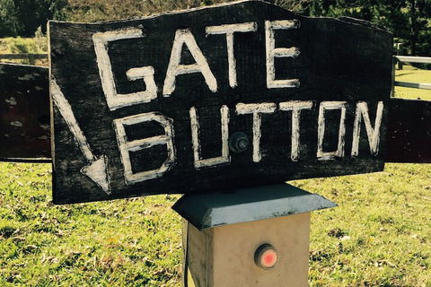 Ingleside Stud Farm - Accommodation China 5