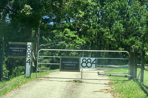 Ingleside Stud Farm - Accommodation China 7