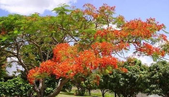 Chatsworth QLD Accommodation Asia