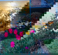 The Vines Motel and Cottages - Accommodation Guide