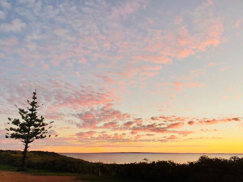 Highway One Ceduna - Accommodation Asia 0
