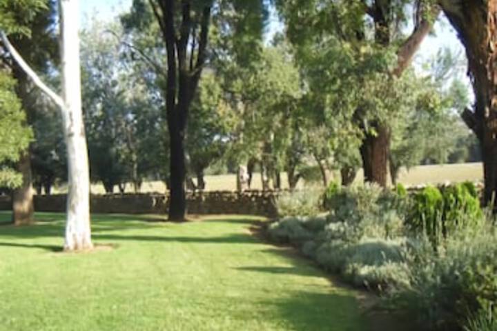 Cooneys Creek NSW Accommodation Guide