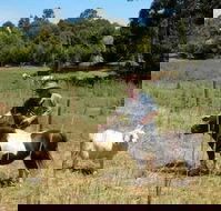 Country Cottages of Bridgetown - Accommodation Asia