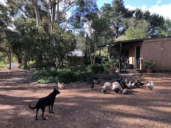 Country Cottages Of Bridgetown - Accommodation Guide 1