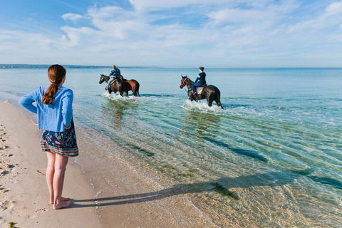 Sailaway Beach House - Accommodation Guide 6