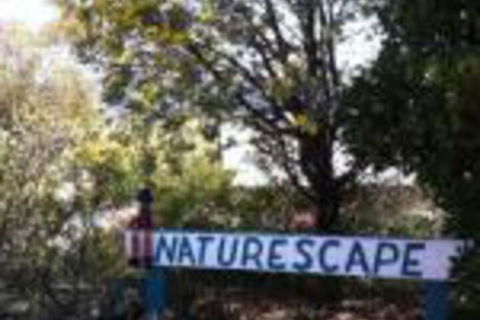 Naturescape - Accommodation Asia 0