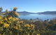 Naturescape - thumb 2