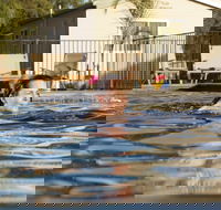 Riverside Cabin Park - Accommodation Asia