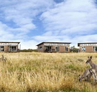 Savannah Cabins - Accommodation Asia