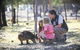Billabong Camp Taronga Western Plains Zoo - thumb 6
