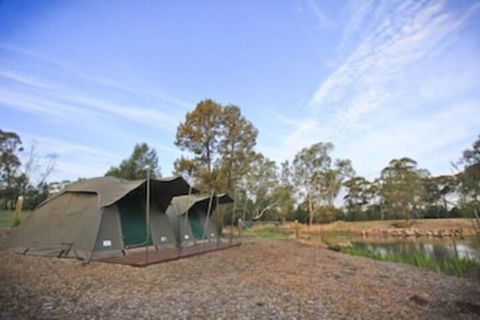 Billabong Camp Taronga Western Plains Zoo - Accommodation Asia 4