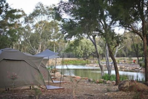 Billabong Camp Taronga Western Plains Zoo - Accommodation Asia 2
