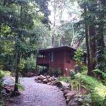 Black Palm Cape Tribulation - Accommodation Guide 0