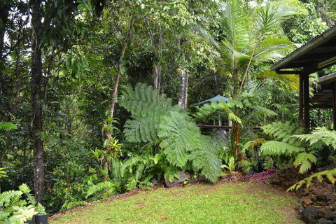 Tropical Bliss Bed & Breakfast - Accommodation Asia 6