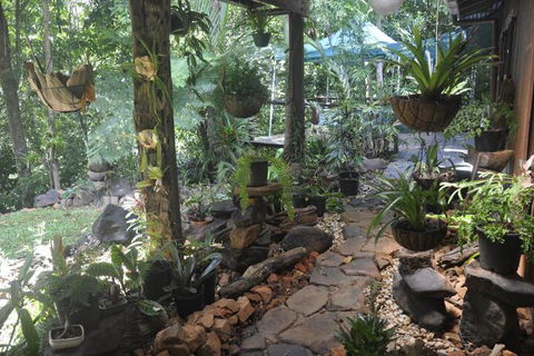 Tropical Bliss Bed & Breakfast - Accommodation Asia 2