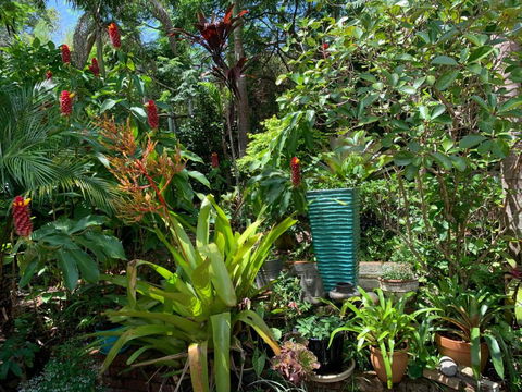305 Montville - Accommodation Guide 4