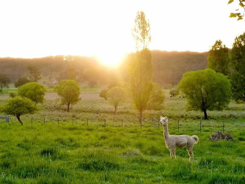 Glen Waverly Farmstay - Accommodation Guide 6