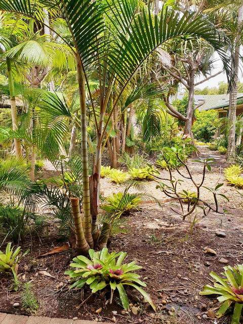 Ballina Beach Resort - Accommodation Asia 3